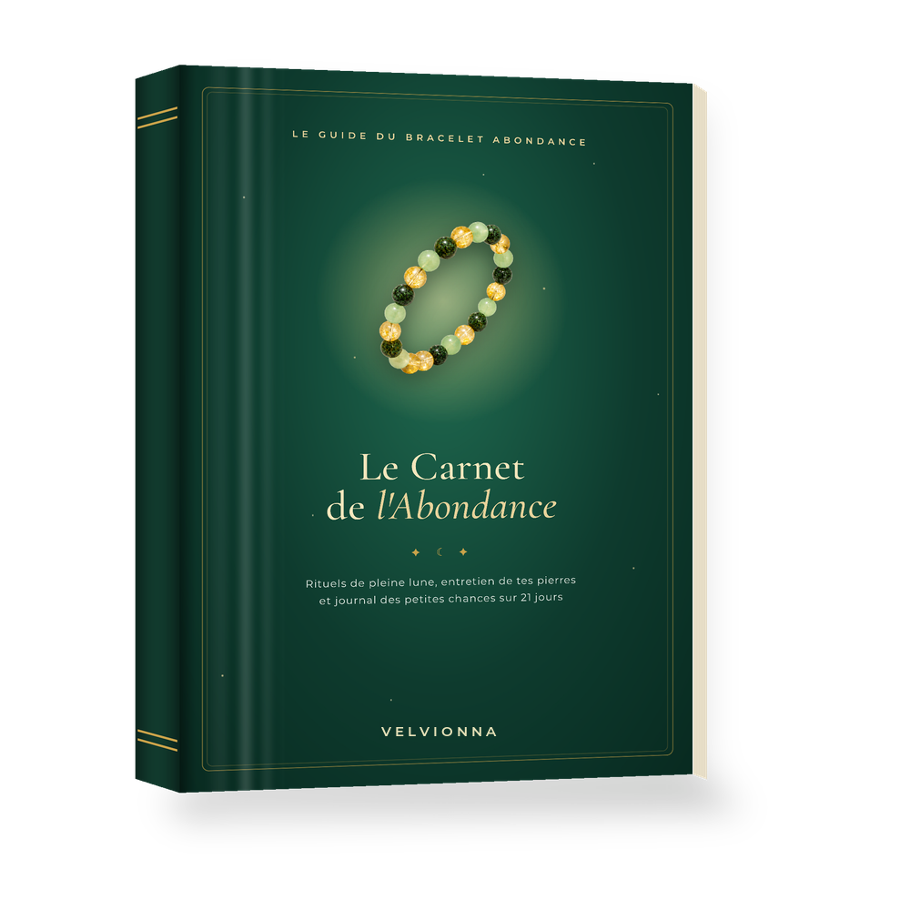 Ebook Le Carnet de l'Abondance