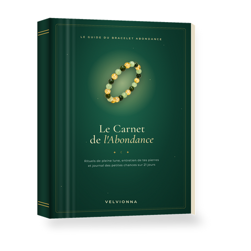 Ebook Le Carnet de l'Abondance