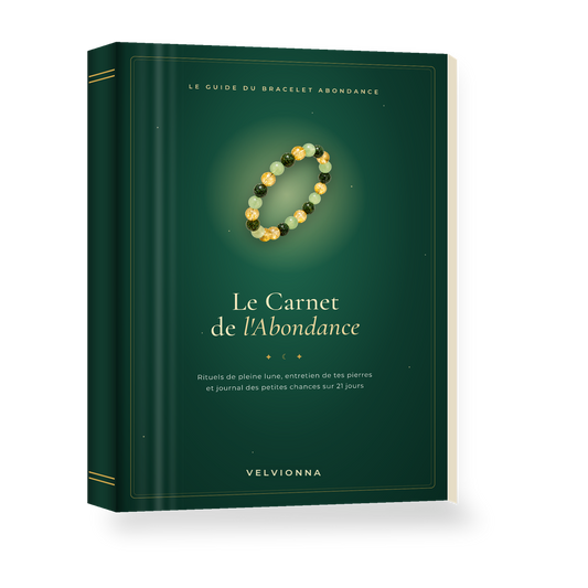 Ebook Le Carnet de l'Abondance