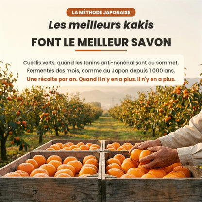 Les meilleurs kakis font le meilleur savon