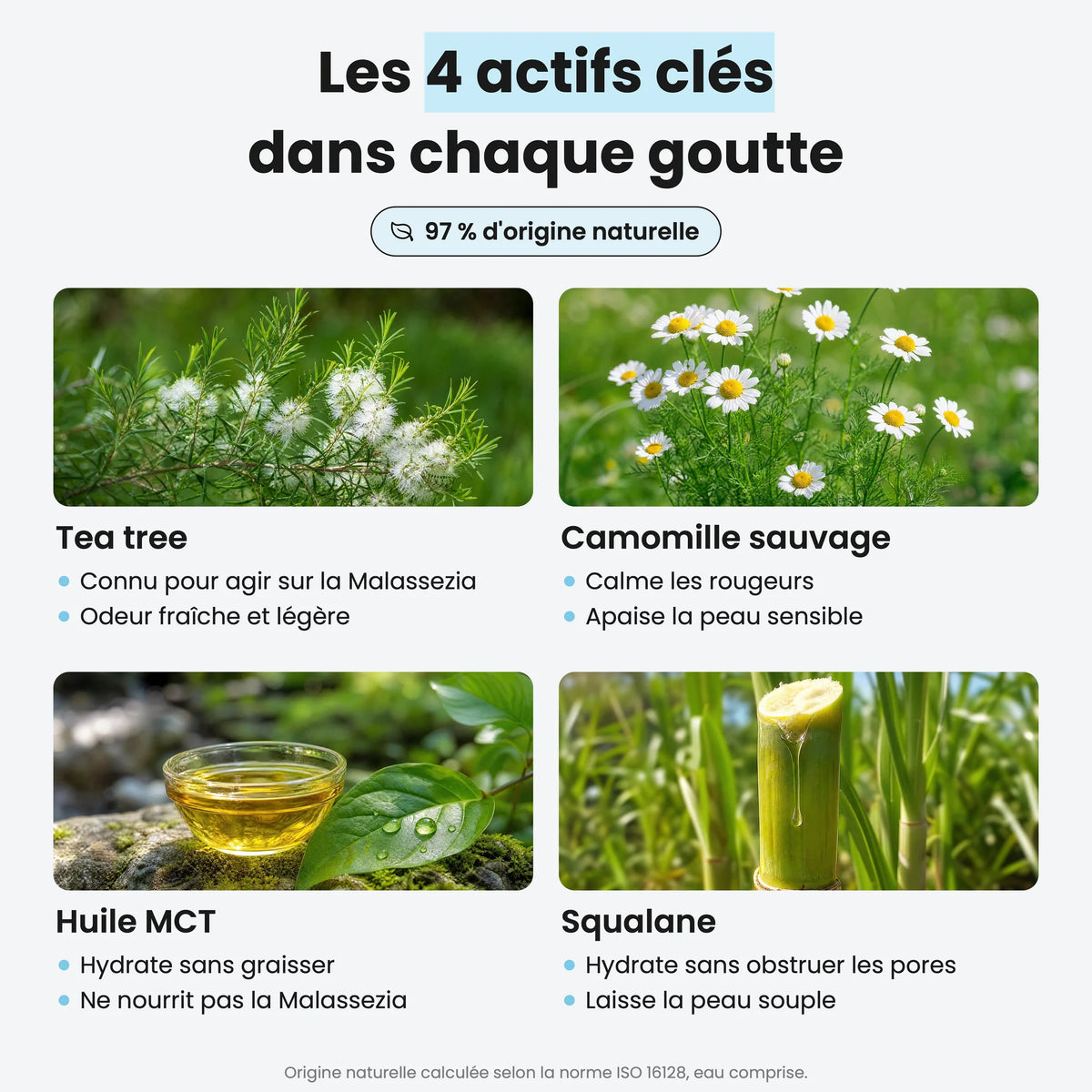 Les 4 actifs clés dans chaque goutte