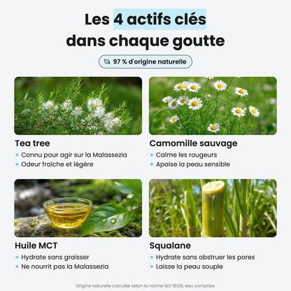 Les 4 actifs clés dans chaque goutte